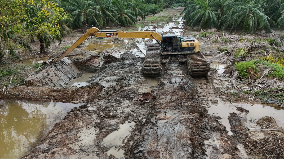 Amphibious excavators working along a muddy channel